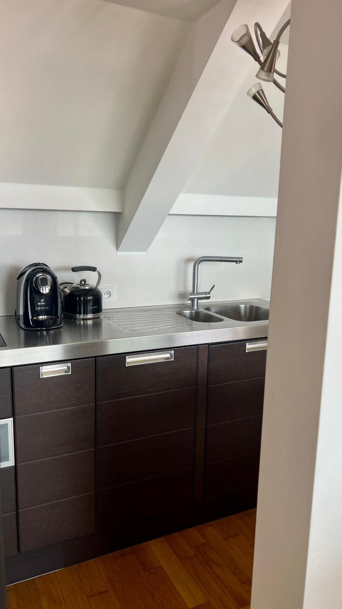 Apartman Se Saunou A Terasou S Vyhledem Na Brno Ngoại thất bức ảnh