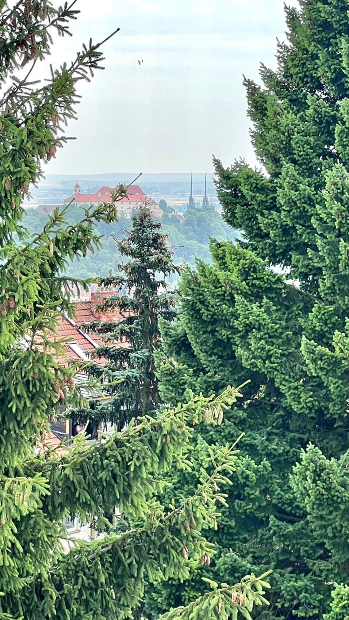 Apartman Se Saunou A Terasou S Vyhledem Na Brno Ngoại thất bức ảnh