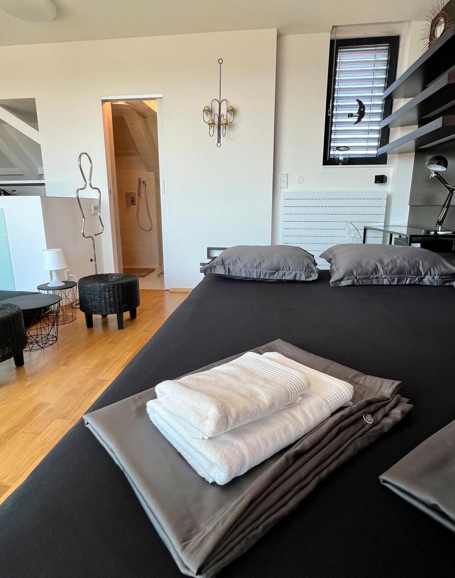 Apartman Se Saunou A Terasou S Vyhledem Na Brno Ngoại thất bức ảnh